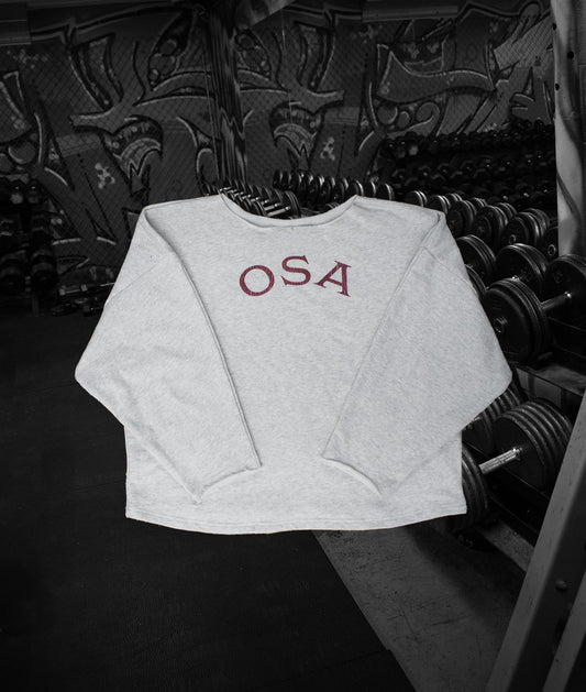 OSA Grey Rag Top Sweater