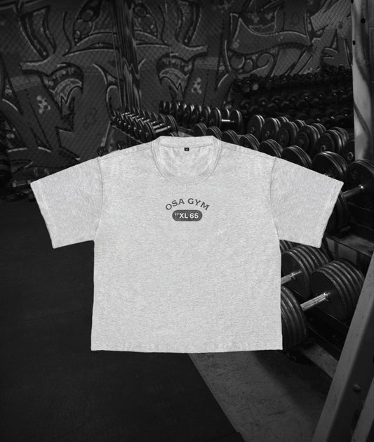 OSA Grey Heavy Weight T-Shirt